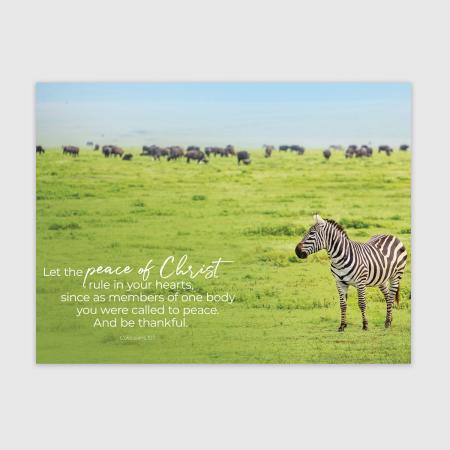 Que la paix du Christ règne