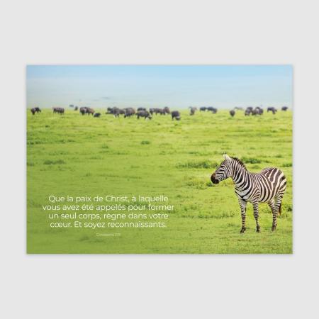 Que la paix du Christ règne